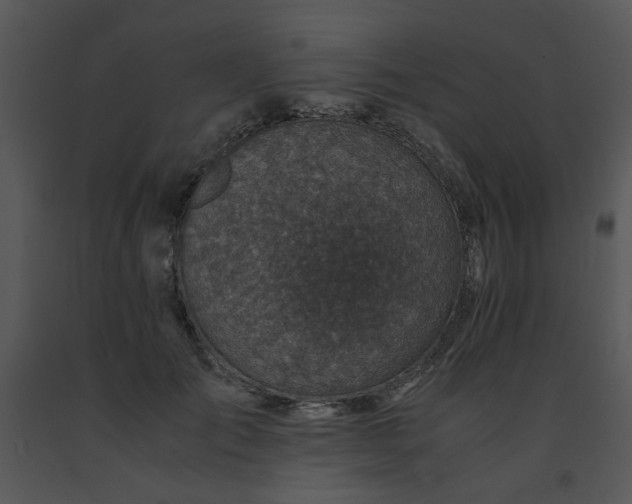 X0000091450701200708301810