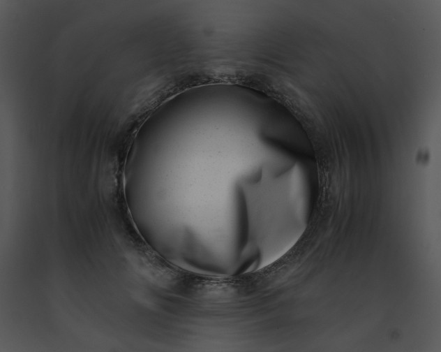 X0000091450702200708301810