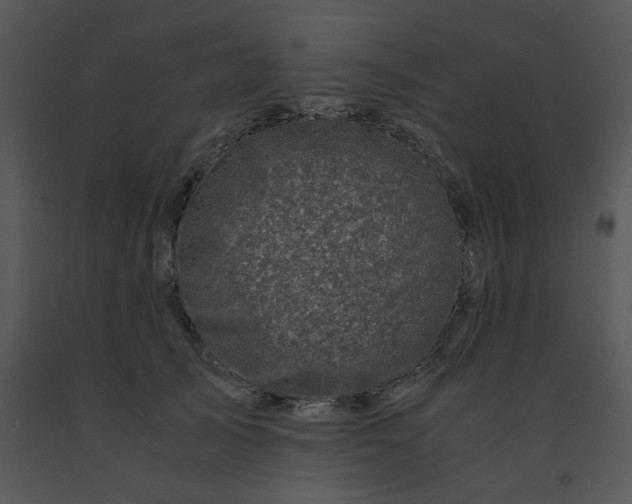 X0000091450705200708301810