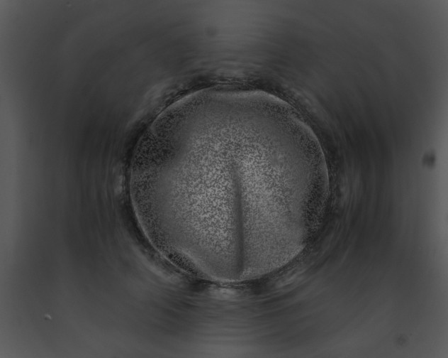 X0000091450706200708301810