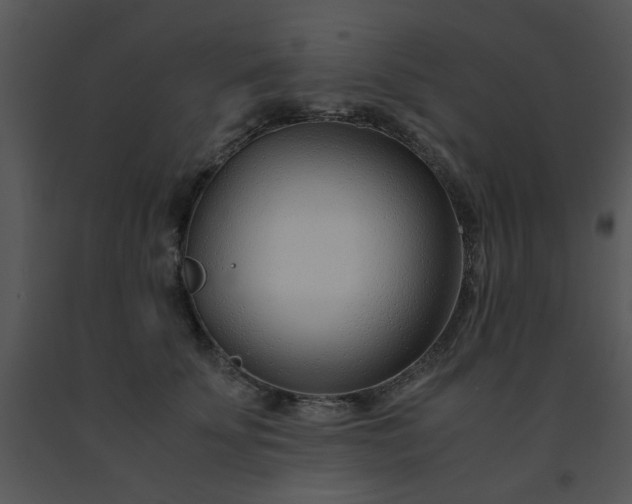 X0000091450707200708301810