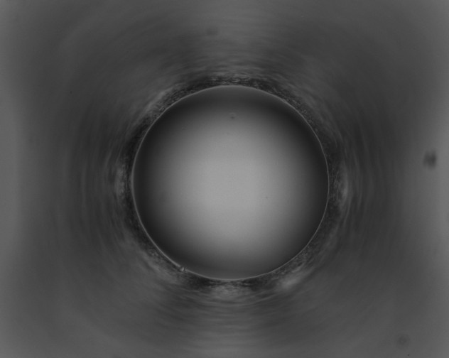 X0000091450708200708301810