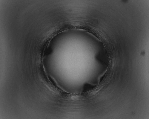 X0000091450710200708301810