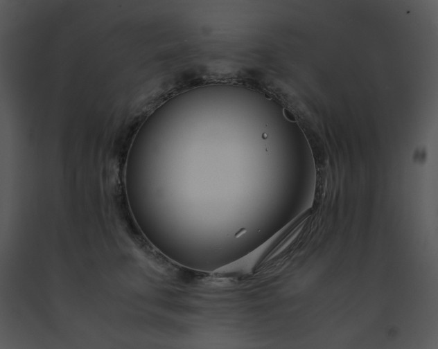 X0000091450711200708301810