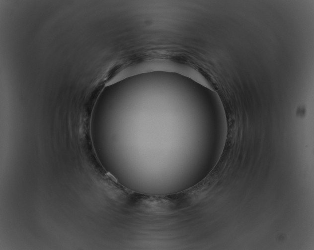 X0000091450712200708301810
