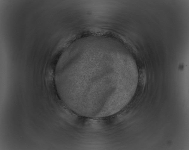X0000091450713200708301810
