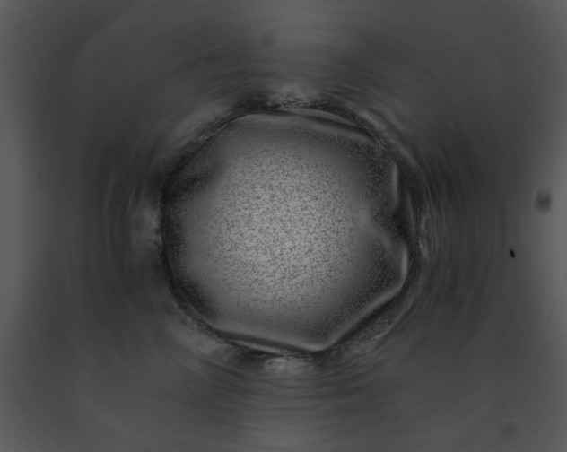 X0000091450714200708301810