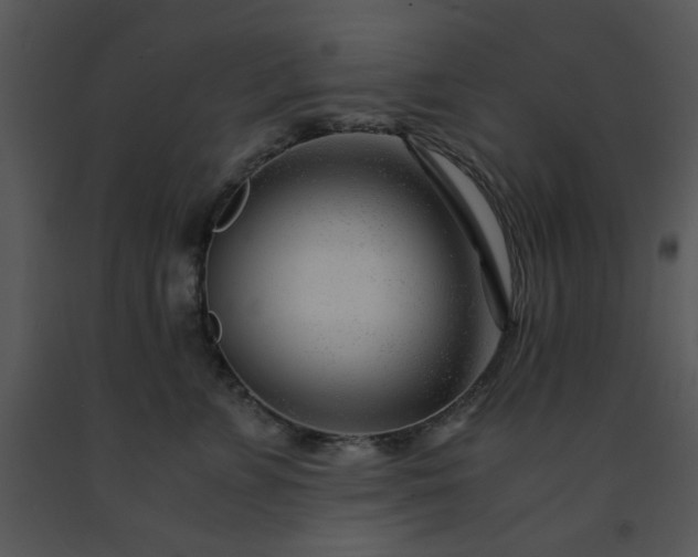 X0000091450715200708301810