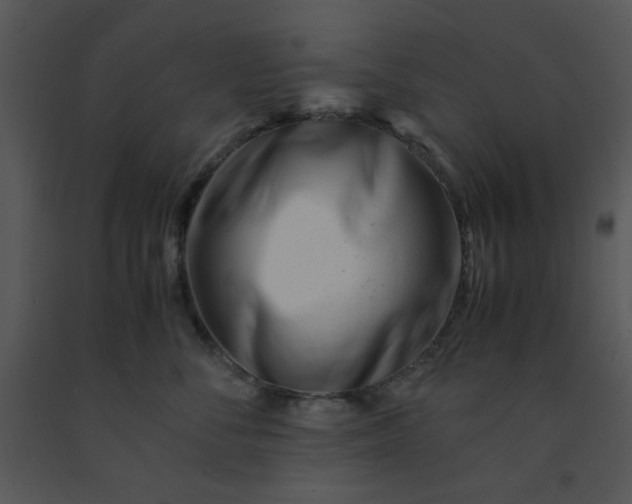 X0000091450716200708301810