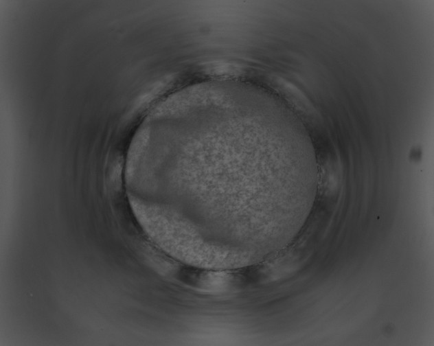 X0000091450717200708301810