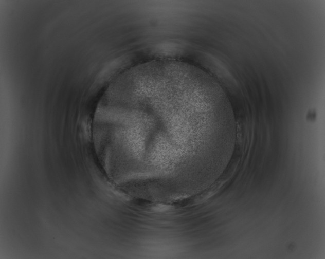 X0000091450718200708301810
