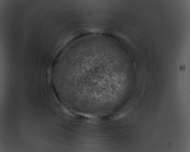 X0000091450720200708301810