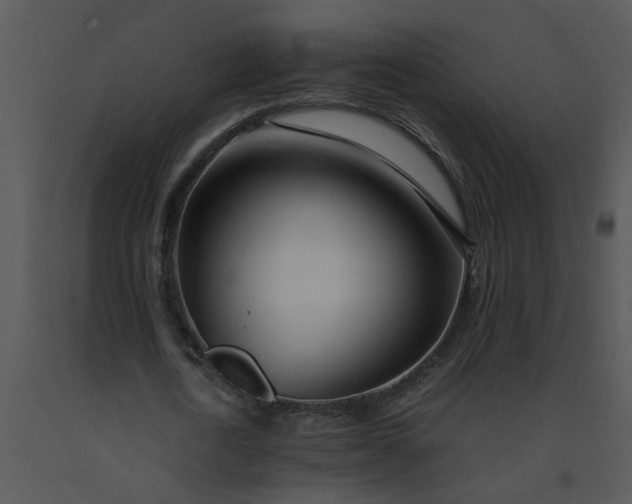 X0000091450722200708301809
