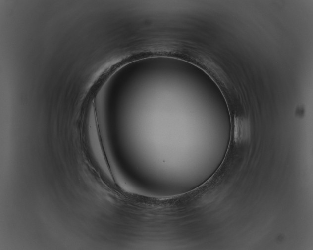 X0000091450723200708301809