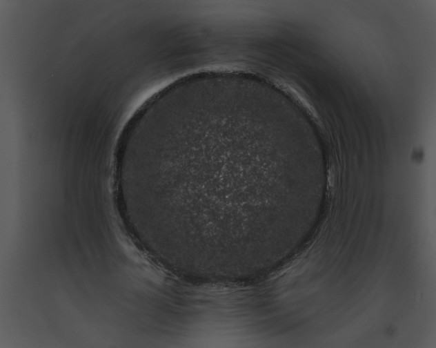 X0000091450724200708301809