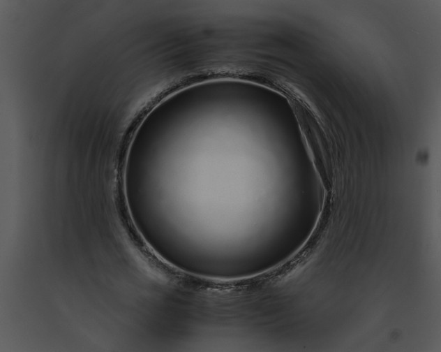 X0000091450725200708301809