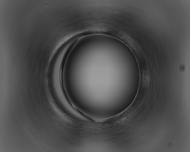 X0000091450726200708301809
