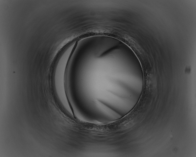 X0000091450727200708301809