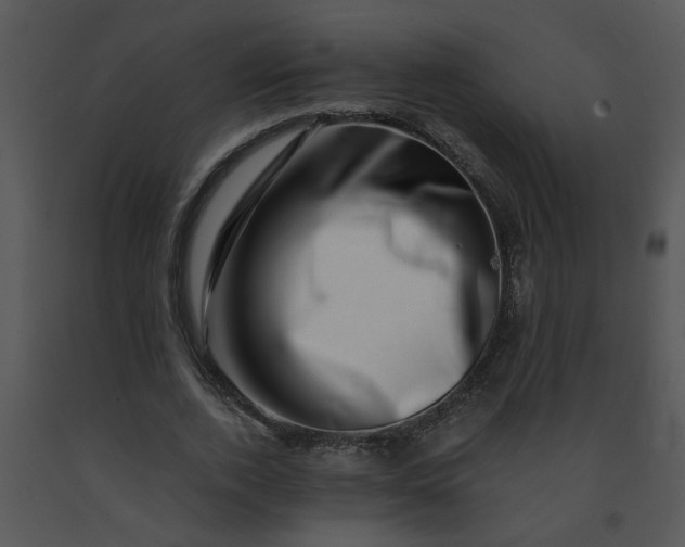 X0000091450728200708301809