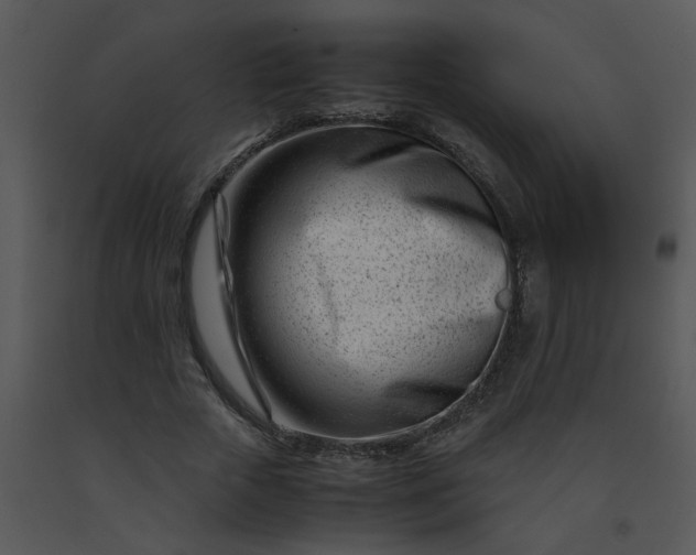 X0000091450729200708301809