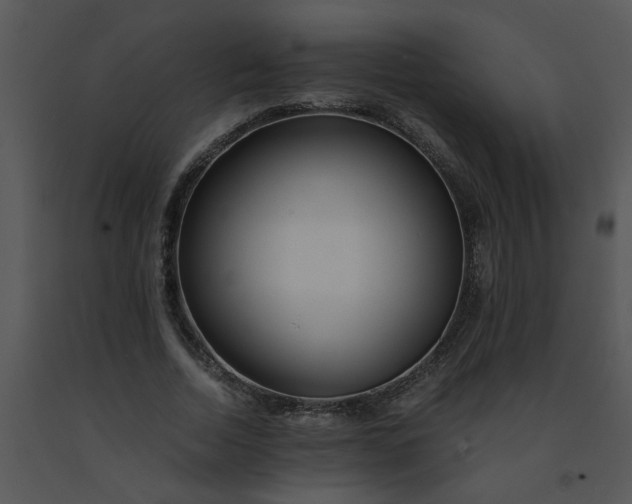 X0000091450730200708301809