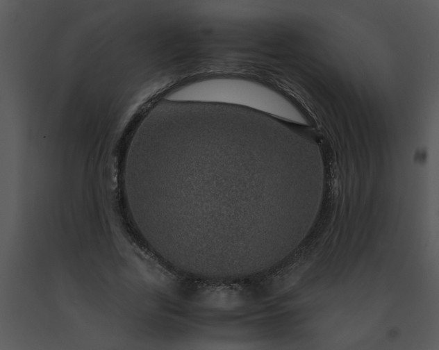 X0000091450731200708301809