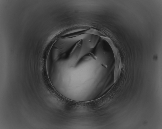 X0000091450732200708301809