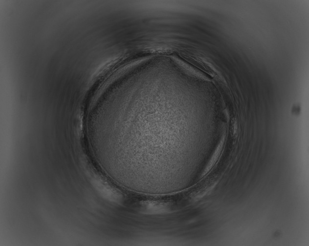 X0000091450733200708301809