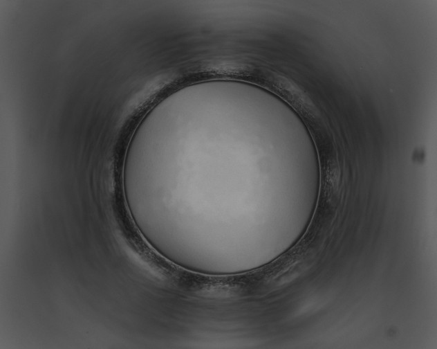 X0000091450734200708301809