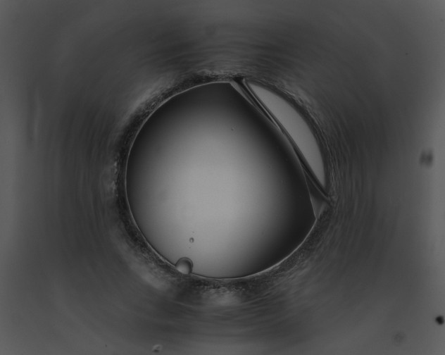 X0000091450735200708301809
