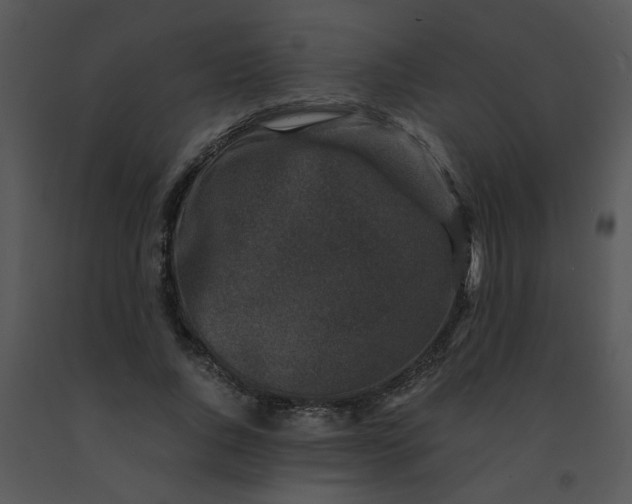 X0000091450736200708301809