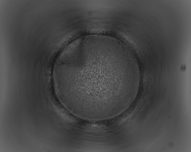 X0000091450737200708301809