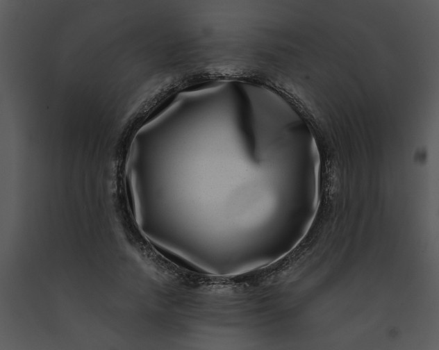 X0000091450738200708301809