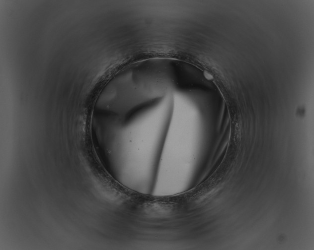 X0000091450739200708301809