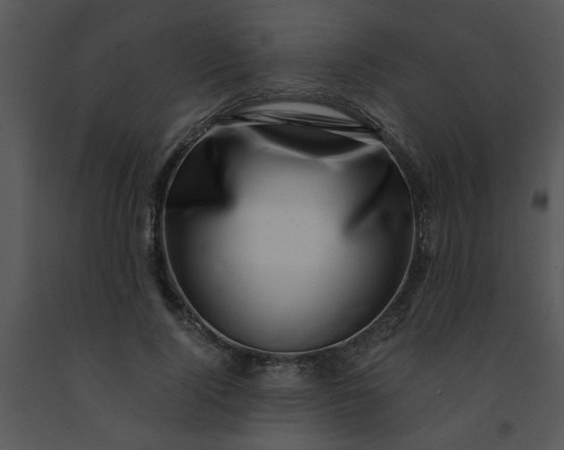X0000091450740200708301809