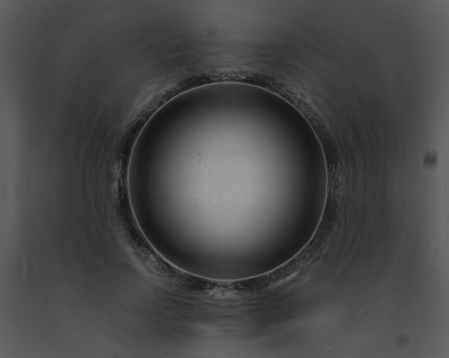 X0000091450742200708301809