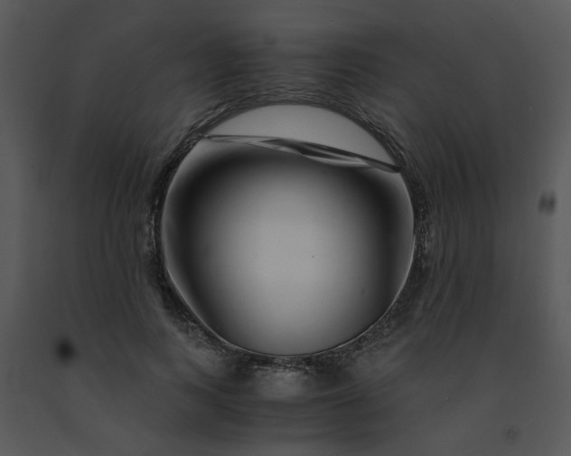 X0000091450743200708301809