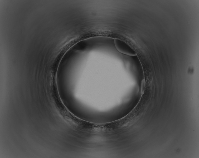 X0000091450744200708301809