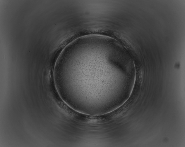 X0000091450746200708301809