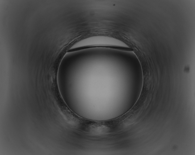 X0000091450747200708301809