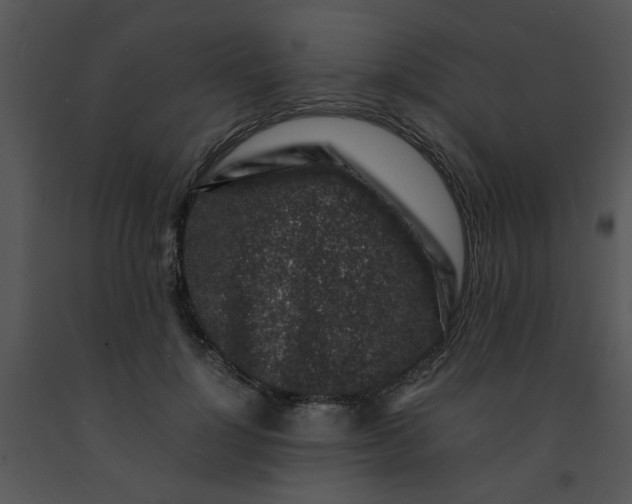 X0000091450748200708301809