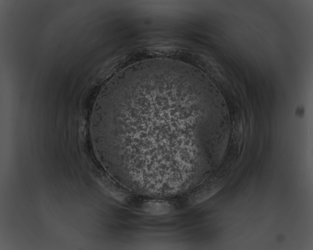 X0000091450749200708301809