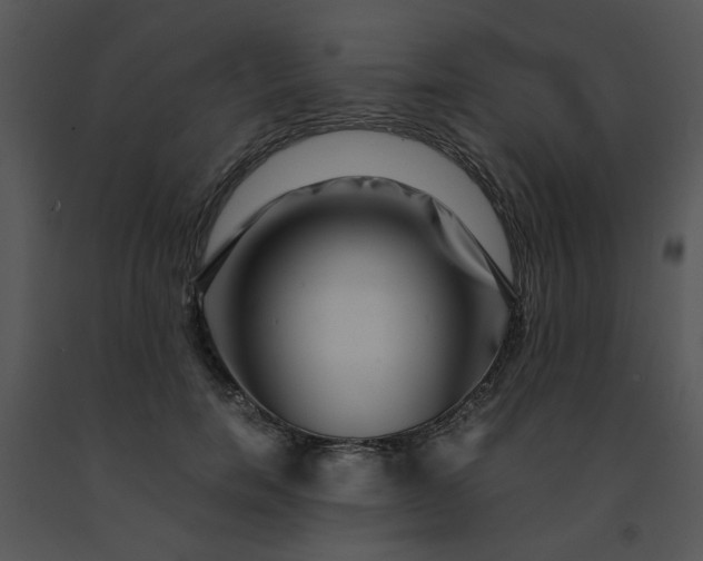 X0000091450750200708301809