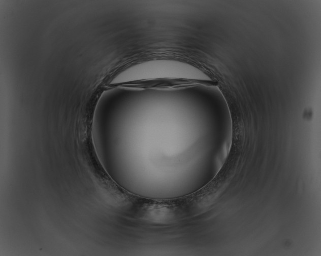 X0000091450751200708301809