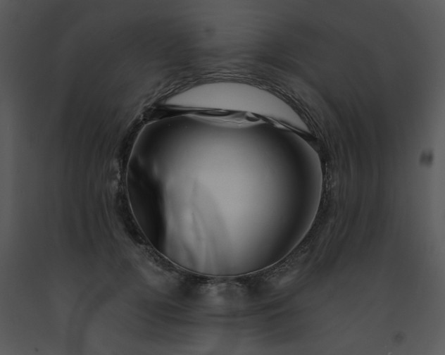 X0000091450752200708301810