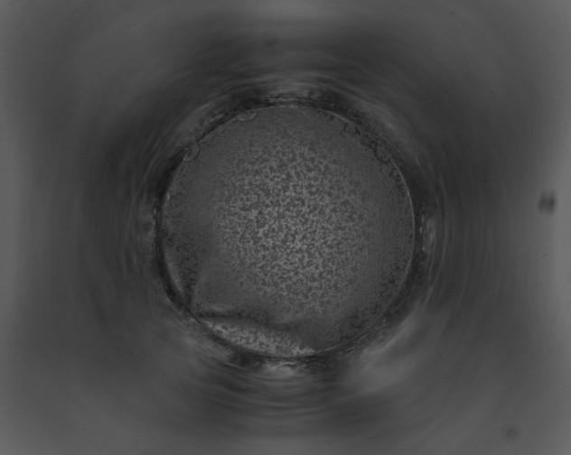 X0000091450753200708301810