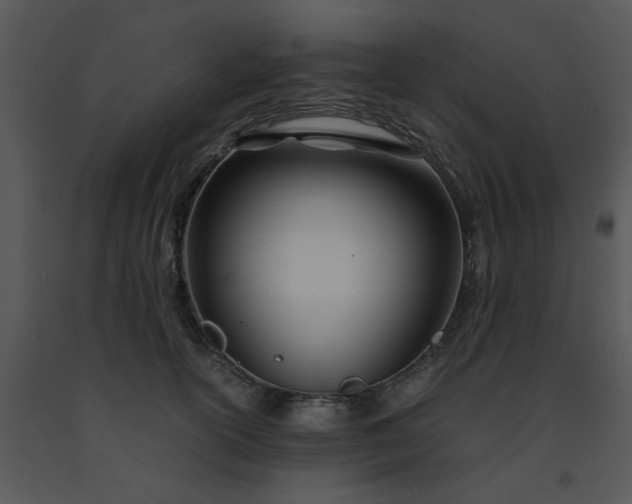 X0000091450754200708301810
