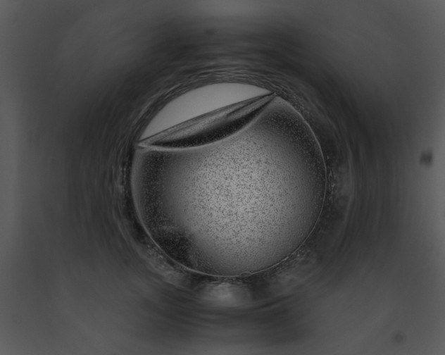 X0000091450755200708301810