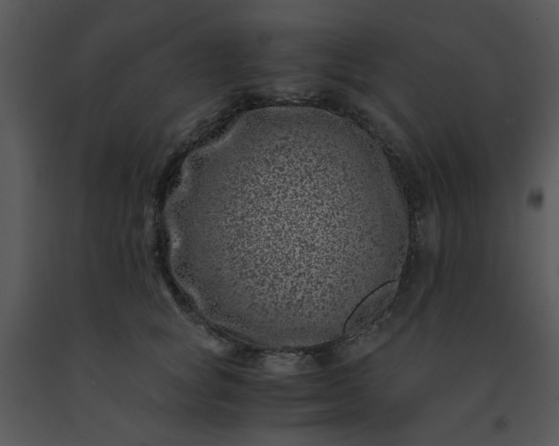 X0000091450757200708301810