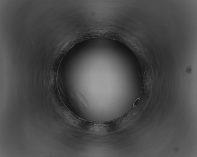 X0000091450758200708301810